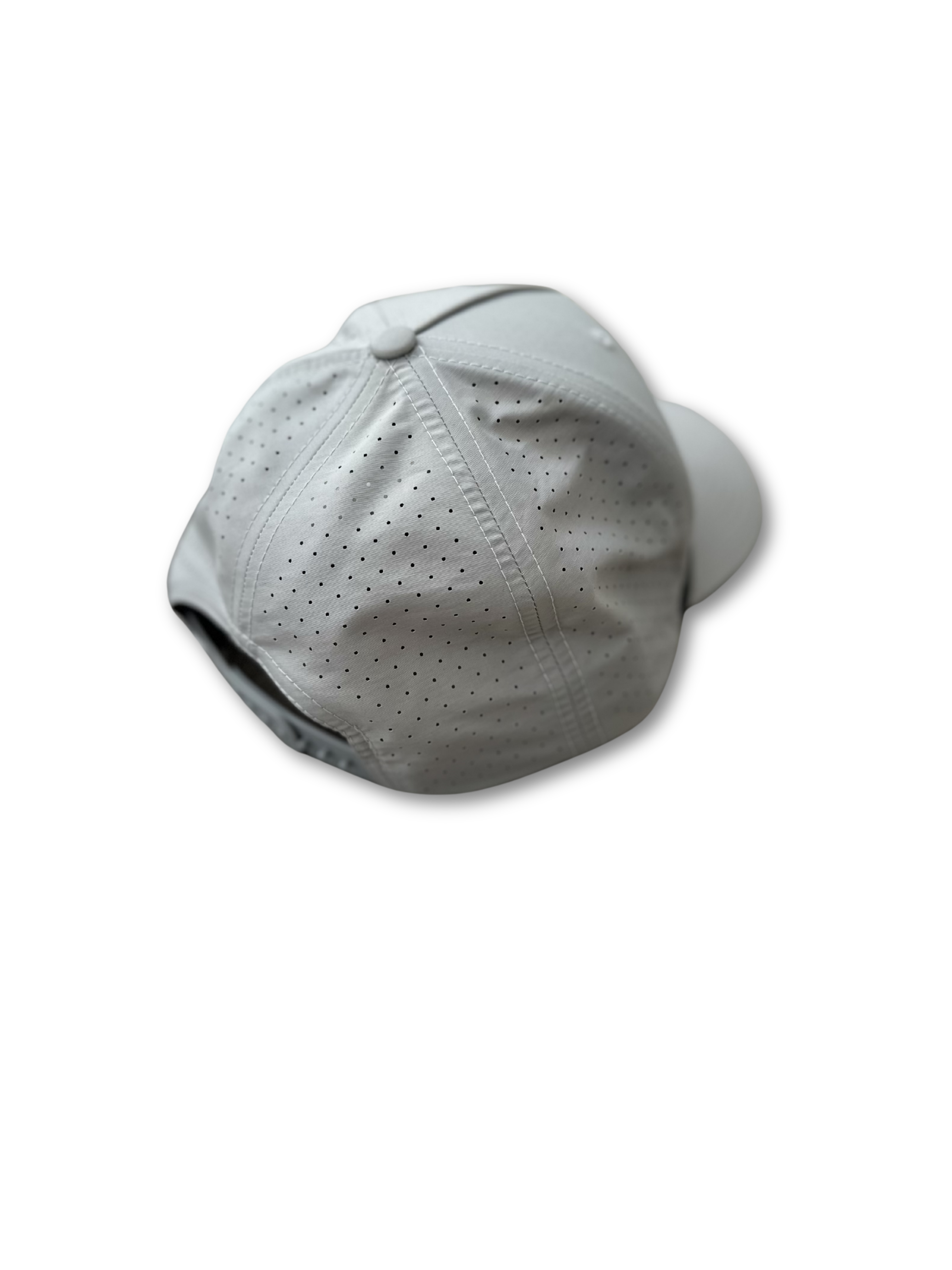 WAKE 10 Core Cap - Silver